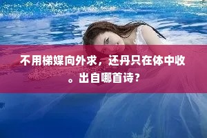 不用梯媒向外求，还丹只在体中收。出自哪首诗？