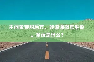 不问黄芽肘后方，妙道通微怎生说。全诗是什么？