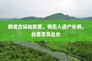 鹤观古坛松影里，悄无人迹户长扃。的意思及出处