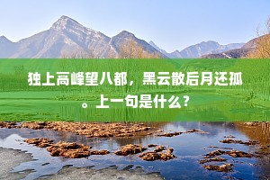 独上高峰望八都，黑云散后月还孤。上一句是什么？