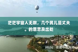 茫茫宇宙人无数，几个男儿是丈夫。的意思及出处