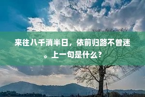 来往八千消半日，依前归路不曾迷。上一句是什么？