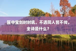 匣中宝剑时时吼，不遇同人誓不传。全诗是什么？