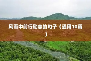 风雨中前行励志的句子（通用10篇）