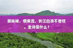 能纵棹，惯乘流，长江白浪不曾忧。全诗是什么？
