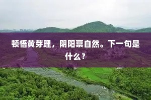 顿悟黄芽理，阴阳禀自然。下一句是什么？