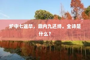 炉中七返毕，鼎内九还终。全诗是什么？