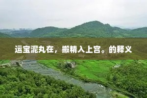 运宝泥丸在，搬精入上宫。的释义