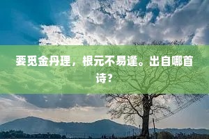 要觅金丹理，根元不易逢。出自哪首诗？