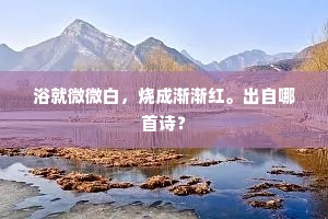 浴就微微白，烧成渐渐红。出自哪首诗？