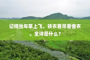 记得当年草上飞，铁衣著尽著僧衣。全诗是什么？