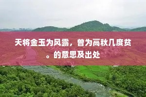 天将金玉为风露，曾为高秋几度贫。的意思及出处