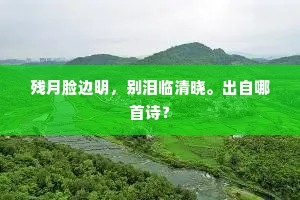 残月脸边明，别泪临清晓。出自哪首诗？