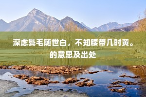 深虑鬓毛随世白，不知腰带几时黄。的意思及出处