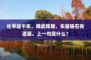 往事越千年，魏武挥鞭，东临碣石有遗篇。上一句是什么？