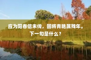 应为阳春信未传，固将青艳属残年。下一句是什么？