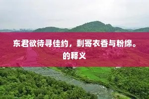 东君欲待寻佳约，剩寄衣香与粉绵。的释义