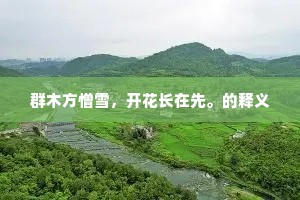 群木方憎雪，开花长在先。的释义