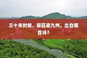 三十未封侯，颠狂遍九州。出自哪首诗？