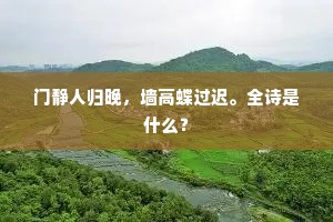 门静人归晚，墙高蝶过迟。全诗是什么？