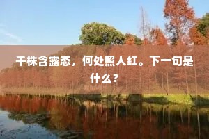 千株含露态，何处照人红。下一句是什么？