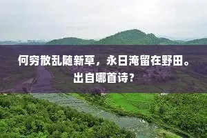 何穷散乱随新草，永日淹留在野田。出自哪首诗？