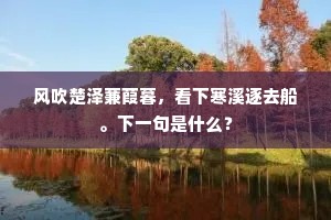风吹楚泽蒹葭暮，看下寒溪逐去船。下一句是什么？