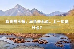 秋光照不极，鸟色去无边。上一句是什么？