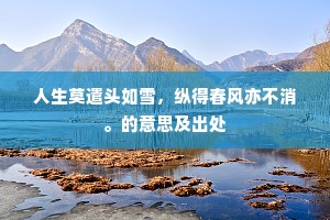 人生莫遣头如雪，纵得春风亦不消。的意思及出处