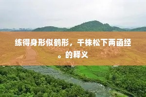 练得身形似鹤形，千株松下两函经。的释义
