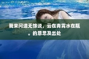 我来问道无馀说，云在青霄水在瓶。的意思及出处