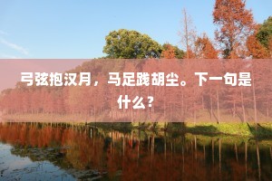 弓弦抱汉月，马足践胡尘。下一句是什么？
