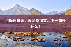 月晦寒食天，天阴夜飞雪。下一句是什么？