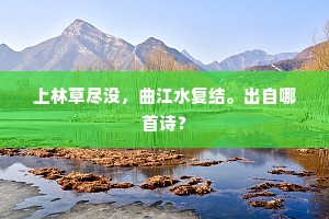 上林草尽没，曲江水复结。出自哪首诗？