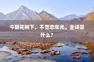 今朝花树下，不觉恋年光。全诗是什么？