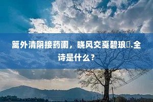 篱外清阴接药阑，晓风交戛碧琅玕.全诗是什么？