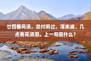 廿四番风讯，总付闲过，浑未减、几点看花清泪。上一句是什么？