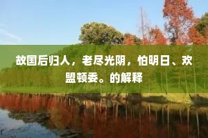 故国后归人，老尽光阴，怕明日、欢盟顿委。的解释