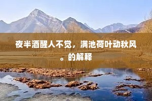 夜半酒醒人不觉，满池荷叶动秋风。的解释