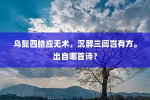 乌髭四皓应无术，沉醉三闾岂有方。出自哪首诗？