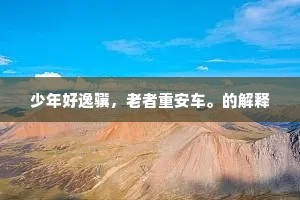 少年好逸骥，老者重安车。的解释