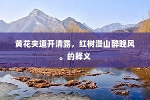 黄花夹道开清露，红树漫山醉晚风。的释义