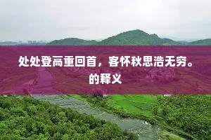 处处登高重回首，客怀秋思浩无穷。的释义