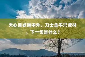 天心自欲通中外，力士金牛只费材。下一句是什么？