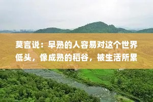 莫言说：早熟的人容易对这个世界低头，像成熟的稻谷，被生活所累，弯了腰；晚熟的人，却像冬日山间的松柏，虽腰身弯折，却蓄势待发