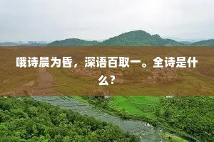 哦诗晨为昏，深语百取一。全诗是什么？