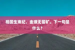 相国生南纪，金璞无留矿。下一句是什么？