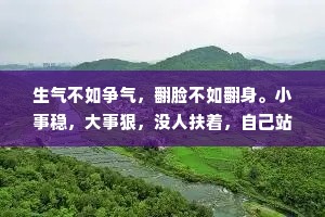 生气不如争气，翻脸不如翻身。小事稳，大事狠，没人扶着，自己站稳。