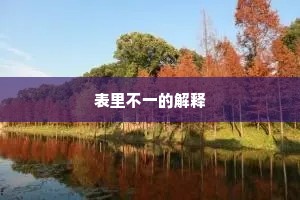 表里不一的解释