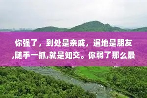 你强了，到处是亲戚，遍地是朋友,随手一抓,就是知交。你弱了那么最先瞧不起你的是亲戚，紧接着离开你的是朋友，最后落井下石的是知交。